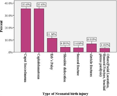 Prevalence and associated factors of birth injury among neonates admitted at neonatal intensive care unit (NICU) in governmental hospitals of Southwest Ethiopian people regional state, Ethiopia: A multicenteric cross-sectional study